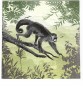 Preview: Affe im Urwald - 1 Lunch Serviette